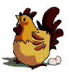 Rooster (Chicken)